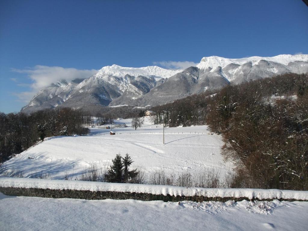 Le Domaine Du Grand Cellier Chambres D'Hotes En Savoie Tournon-sur-Rhône Eksteriør billede